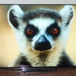 شکل1- بررسی تلویزیون OLED